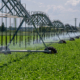 Steel Pipes for Irrigation: A Cost-Effective Solution